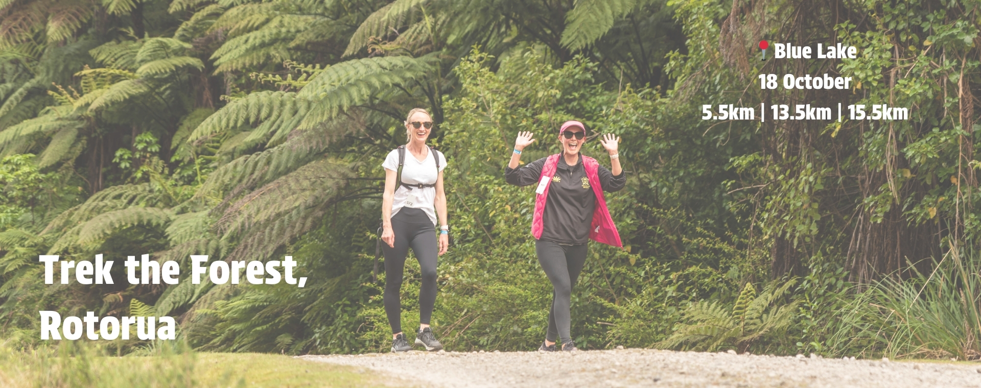 Trek the Forest – Rotorua - Kiwi Walk & Run